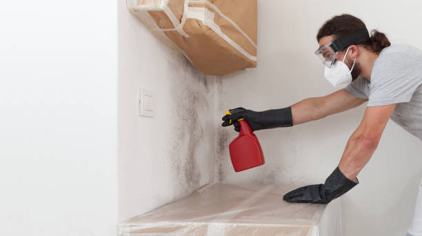 Professional Mold Testing technician working in Deltaville, VA