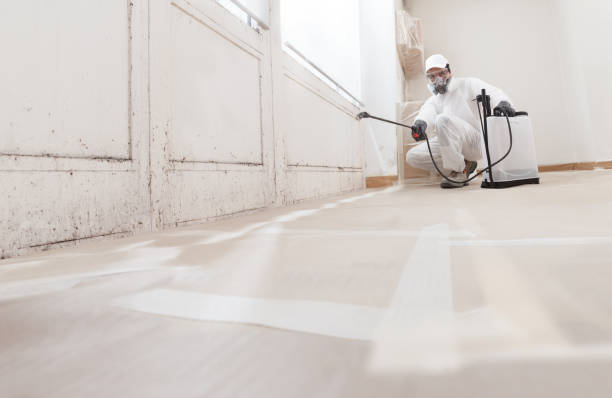 24/7 Emergency Mold Testing experts in Deltaville, VA