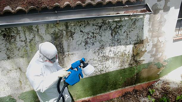 Top rated local Mold Testing specialists in Deltaville, VA